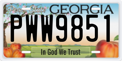 GA license plate PWW9851