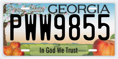 GA license plate PWW9855
