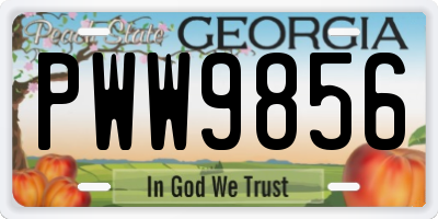 GA license plate PWW9856