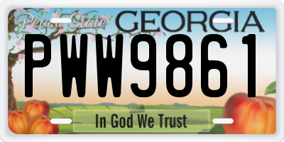 GA license plate PWW9861