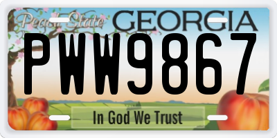 GA license plate PWW9867