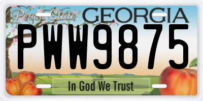 GA license plate PWW9875