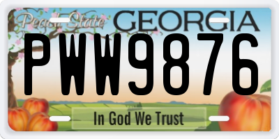 GA license plate PWW9876