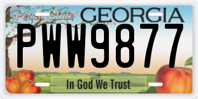 GA license plate PWW9877