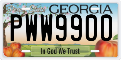 GA license plate PWW9900