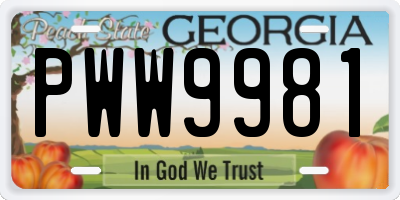 GA license plate PWW9981