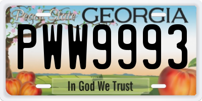 GA license plate PWW9993