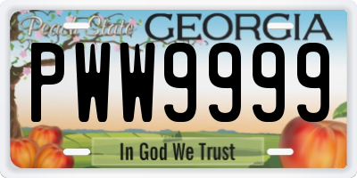 GA license plate PWW9999