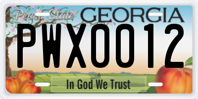 GA license plate PWX0012