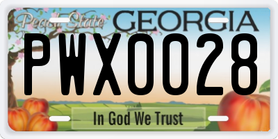 GA license plate PWX0028