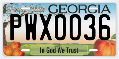 GA license plate PWX0036
