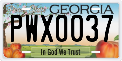 GA license plate PWX0037