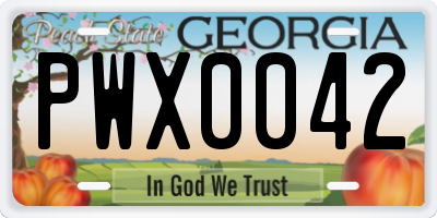 GA license plate PWX0042