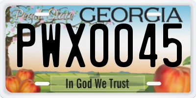 GA license plate PWX0045