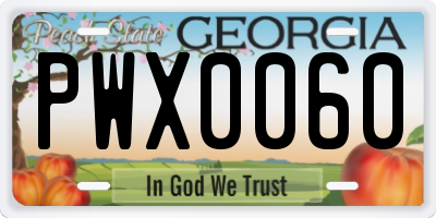 GA license plate PWX0060