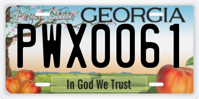 GA license plate PWX0061