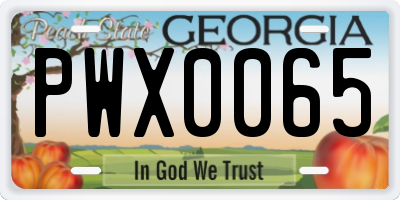 GA license plate PWX0065