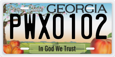 GA license plate PWX0102