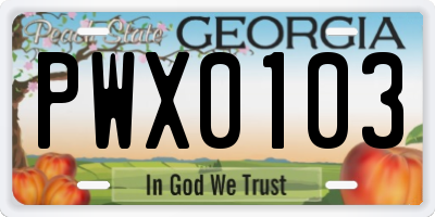 GA license plate PWX0103