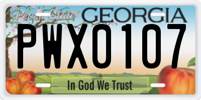 GA license plate PWX0107