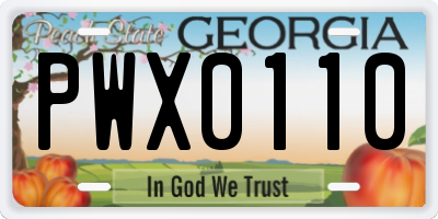 GA license plate PWX0110
