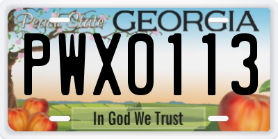 GA license plate PWX0113