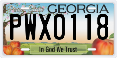 GA license plate PWX0118