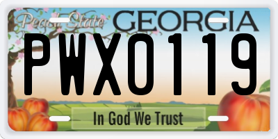 GA license plate PWX0119