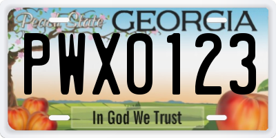 GA license plate PWX0123