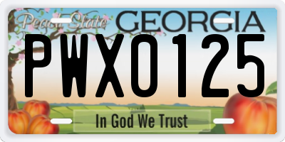 GA license plate PWX0125