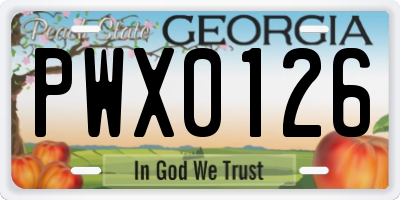GA license plate PWX0126