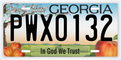 GA license plate PWX0132