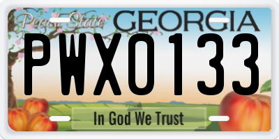 GA license plate PWX0133