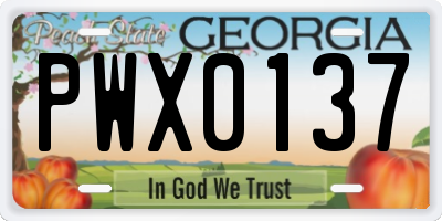GA license plate PWX0137