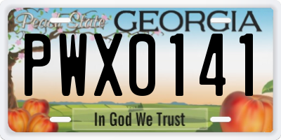 GA license plate PWX0141