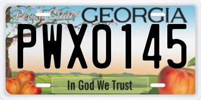 GA license plate PWX0145