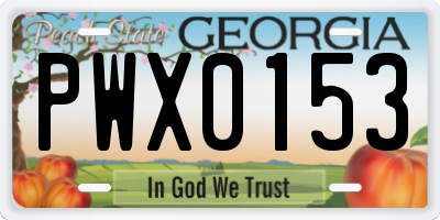 GA license plate PWX0153