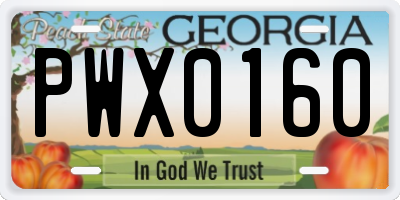 GA license plate PWX0160