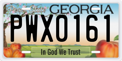 GA license plate PWX0161