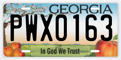 GA license plate PWX0163