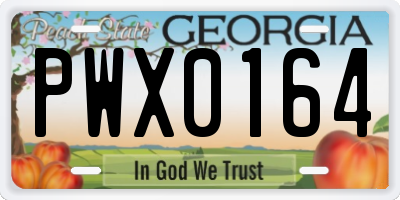 GA license plate PWX0164