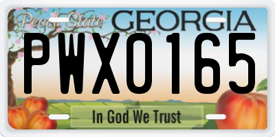 GA license plate PWX0165