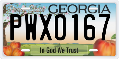GA license plate PWX0167