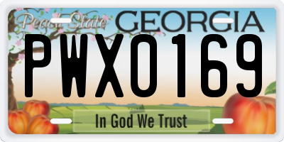 GA license plate PWX0169