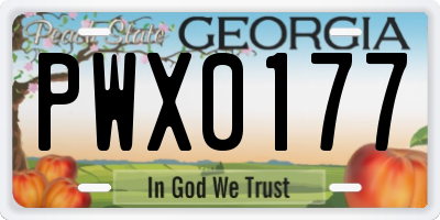 GA license plate PWX0177