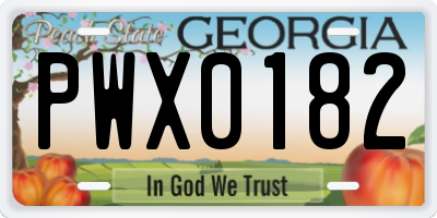 GA license plate PWX0182