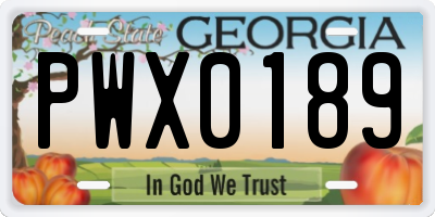 GA license plate PWX0189