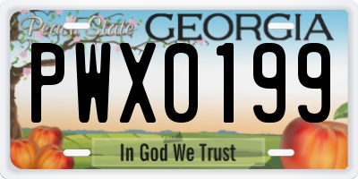 GA license plate PWX0199