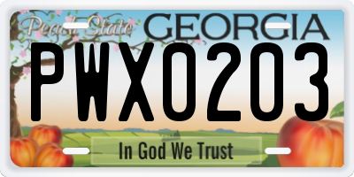 GA license plate PWX0203