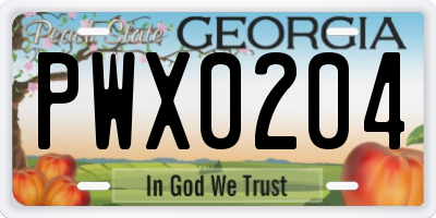 GA license plate PWX0204